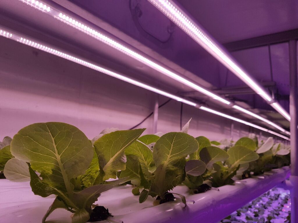 7 Ways LED Grow Lights are Perfect for Small Vertical Farms - Jaxtr